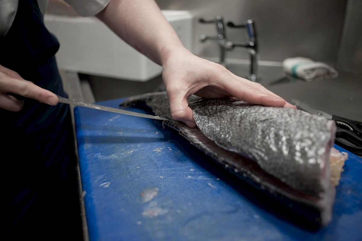 Filleting a Beautiful Wild Seabass
